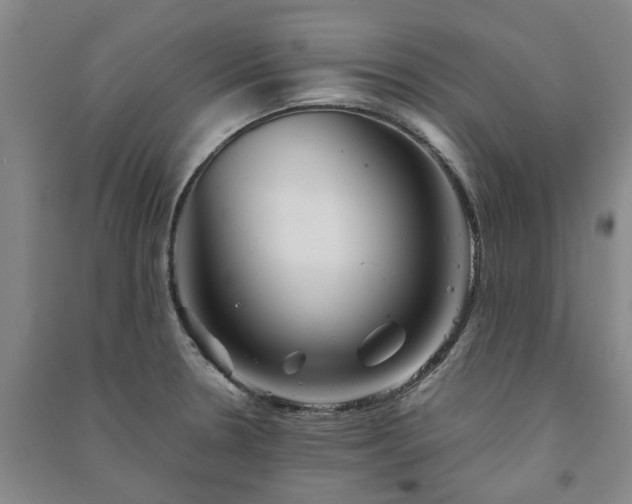 X0000091241330200708161728