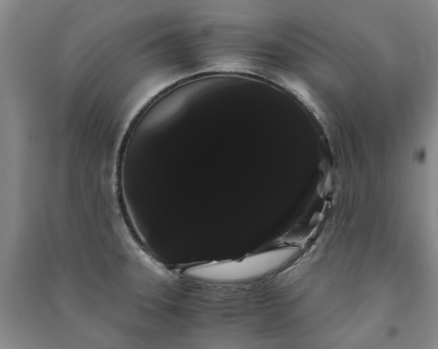 X0000091241331200708161728