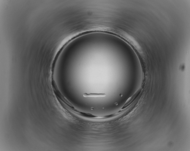 X0000091241332200708161728