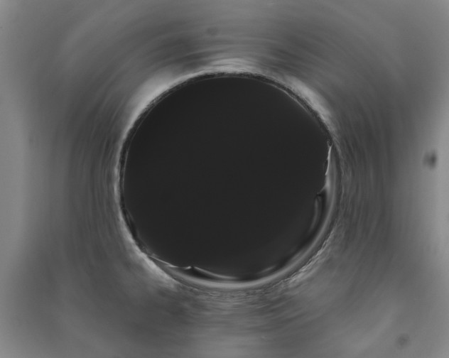 X0000091241334200708161728