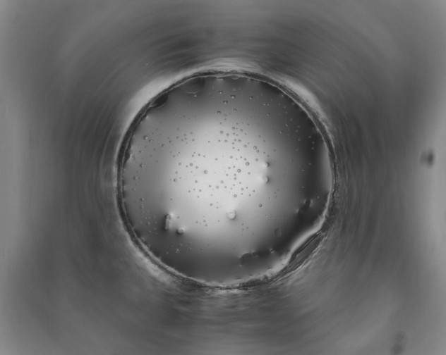 X0000091241335200708161728