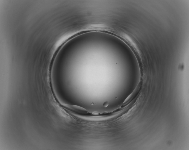 X0000091241336200708161728
