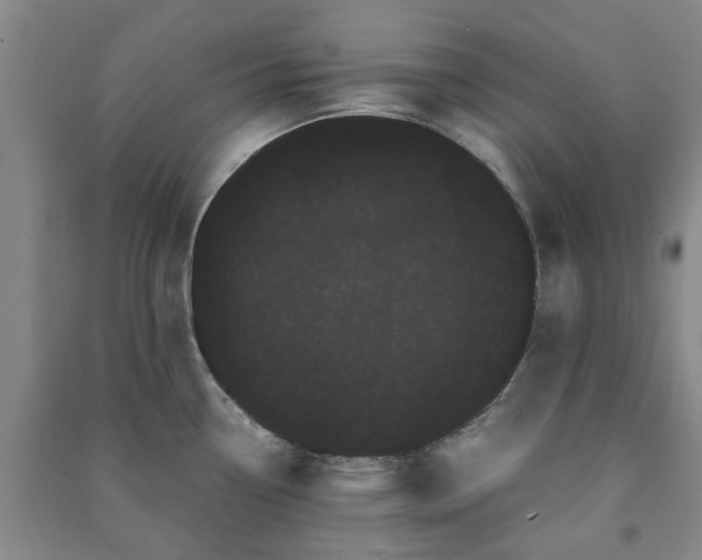 X0000091241338200708161728