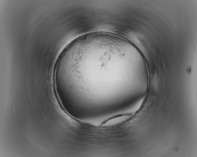 X0000091241339200708161728
