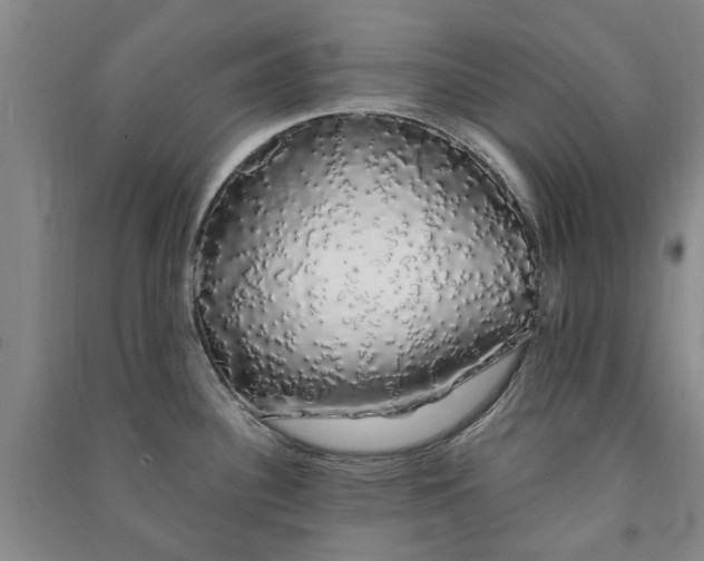 X0000091241340200708161728