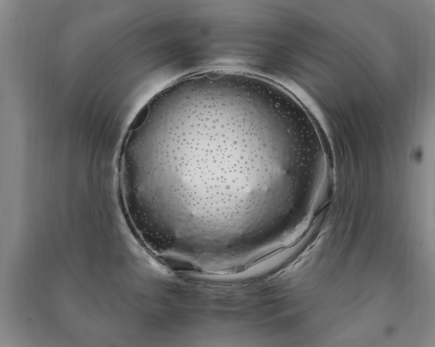 X0000091241341200708161728