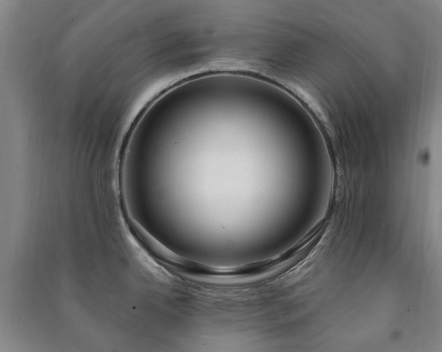 X0000091241342200708161728