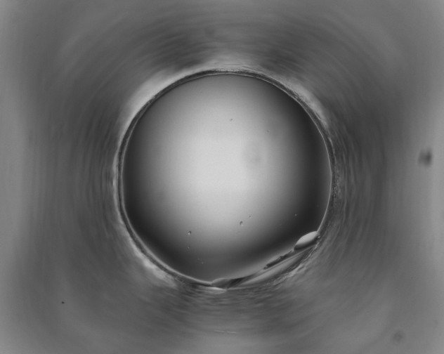 X0000091241343200708161728
