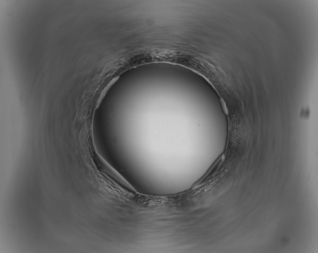 X0000091241345200708161728