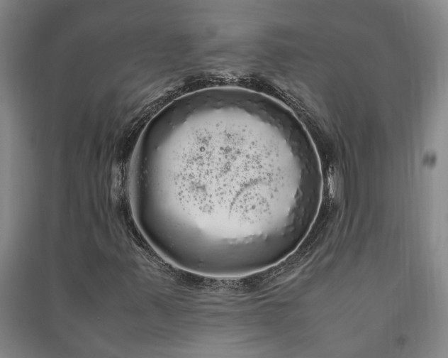 X0000091241347200708161728