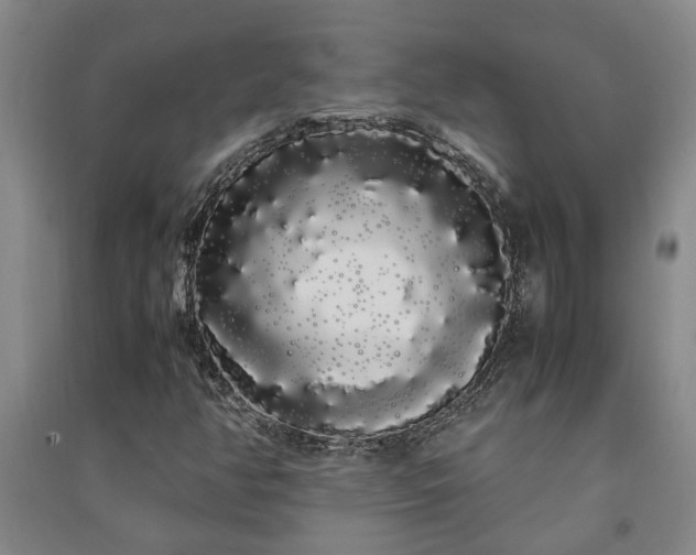 X0000091241350200708161728