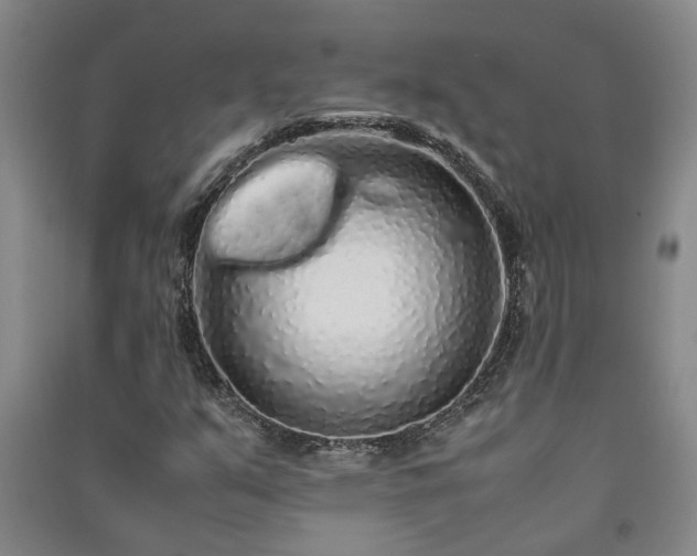 X0000091241351200708161728