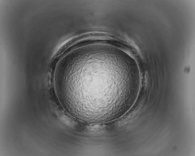X0000091241352200708161728