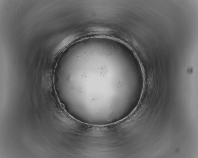 X0000091241354200708161728
