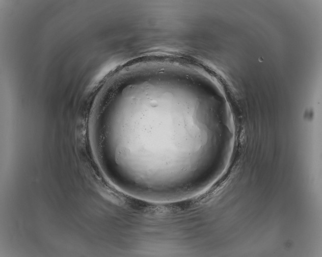 X0000091241355200708161728