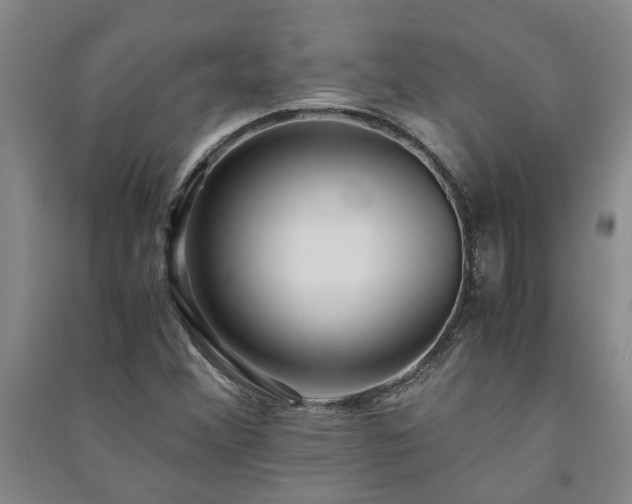 X0000091241356200708161728