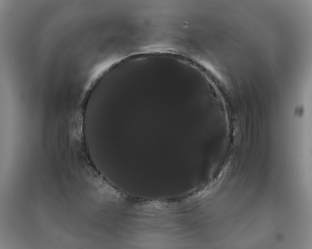 X0000091241358200708161728