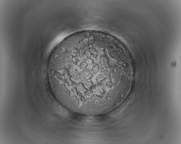 X0000091241359200708161728