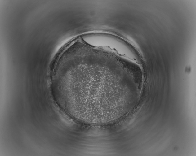 X0000091241360200708161728