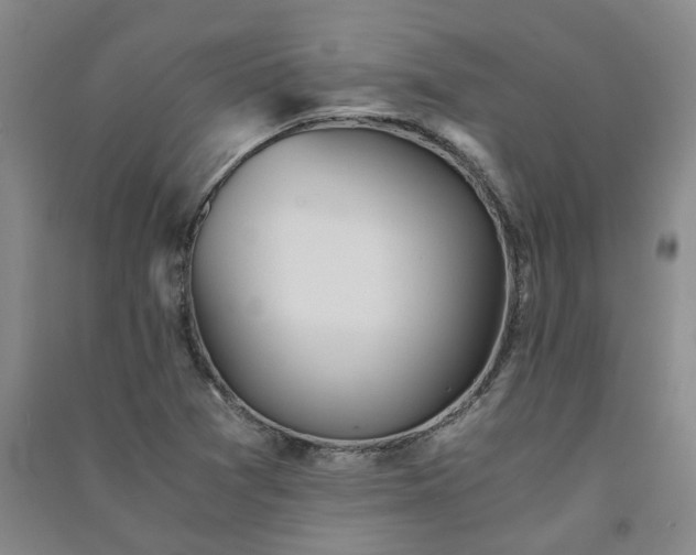 X0000091241361200708161728