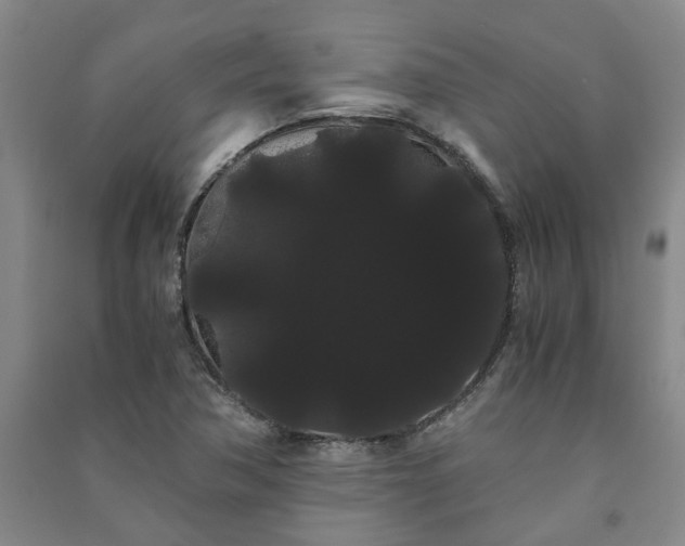 X0000091241362200708161728