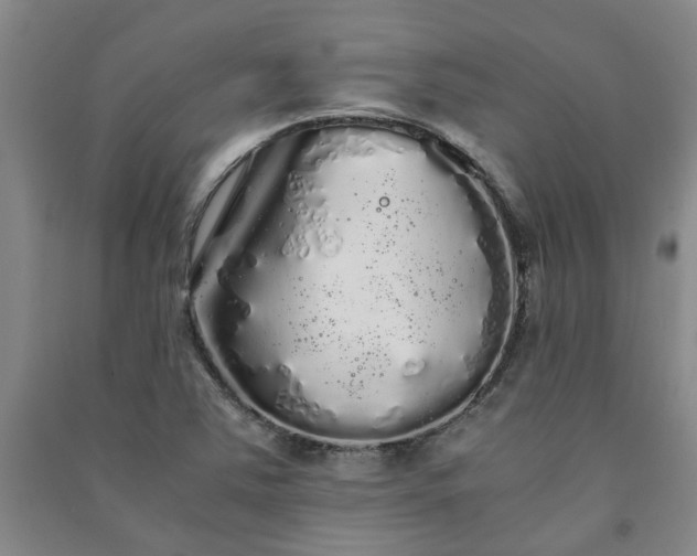 X0000091241363200708161728
