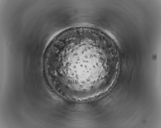 X0000091241364200708161728
