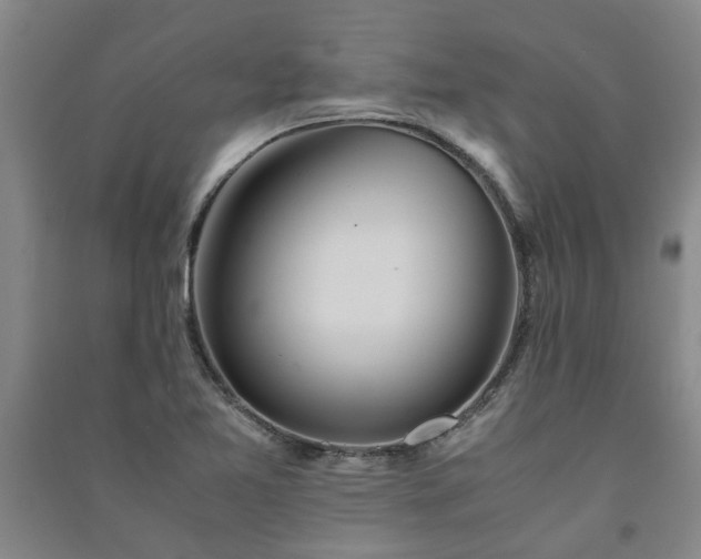 X0000091241365200708161728