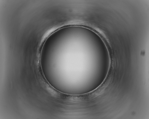 X0000091241366200708161728