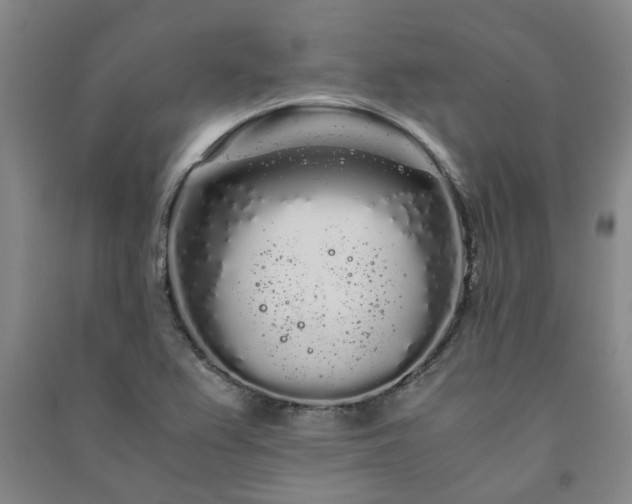 X0000091241367200708161728