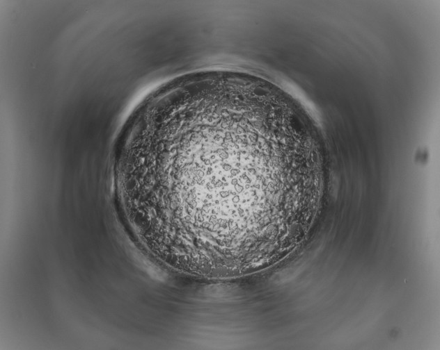 X0000091241368200708161728