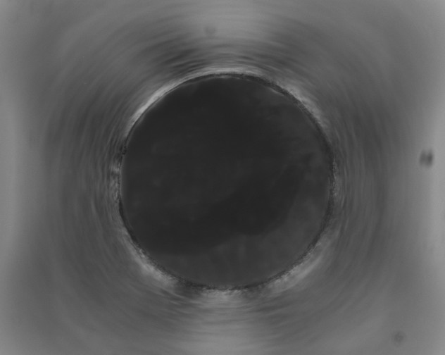 X0000091241369200708161728