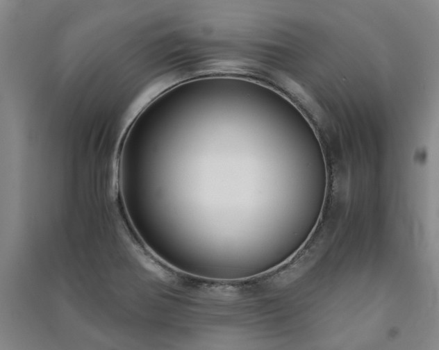 X0000091241370200708161728