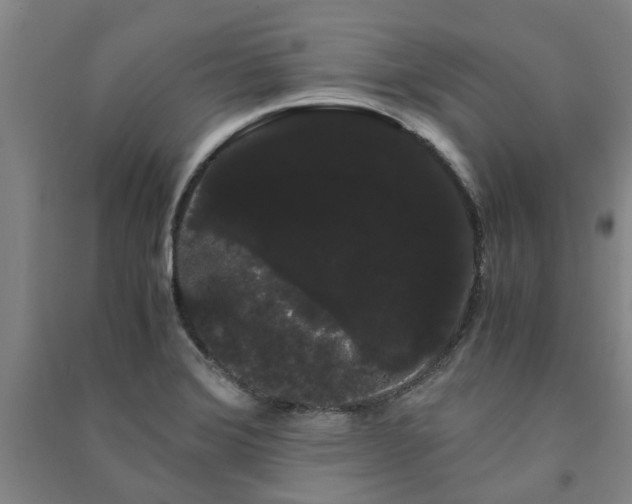 X0000091241372200708161728