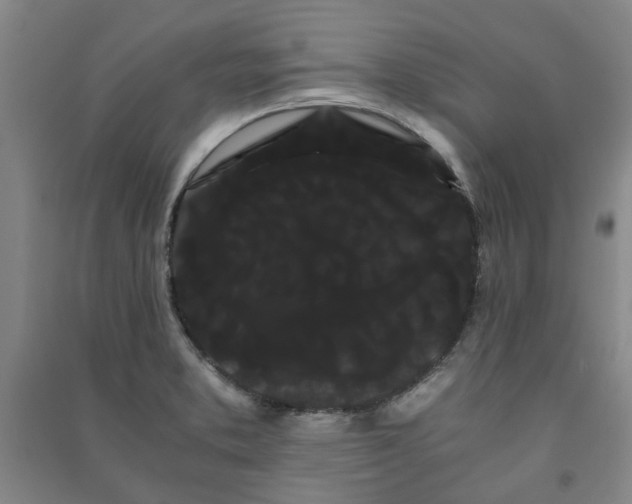 X0000091241373200708161728