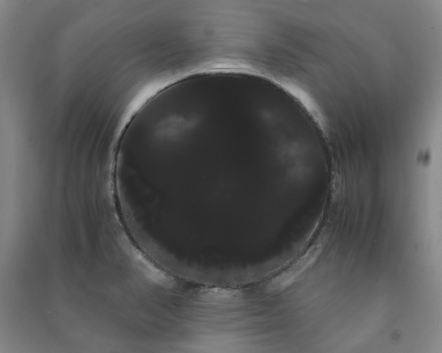 X0000091241374200708161728
