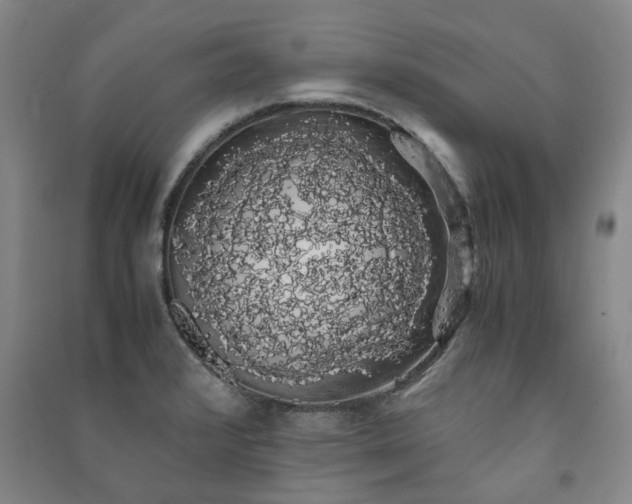 X0000091241376200708161728