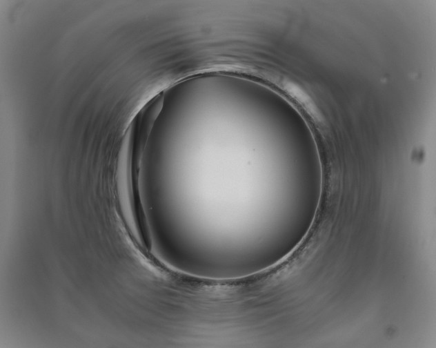 X0000091241377200708161727