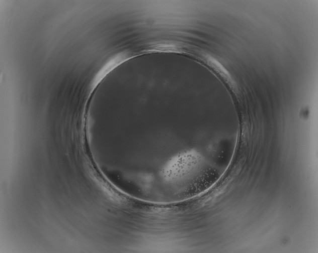X0000091241378200708161727