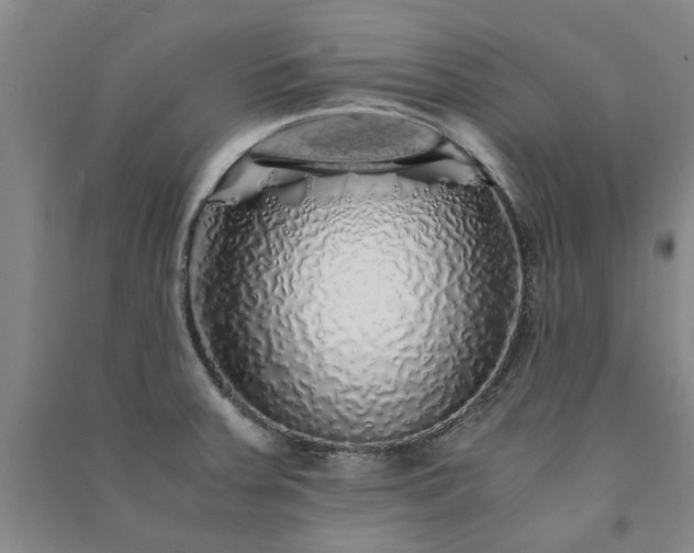 X0000091241379200708161727