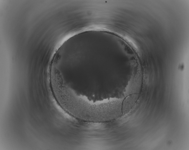 X0000091241382200708161727