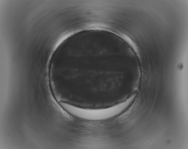 X0000091241384200708161727