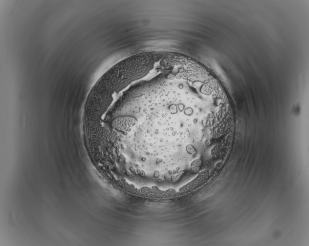 X0000091241386200708161727