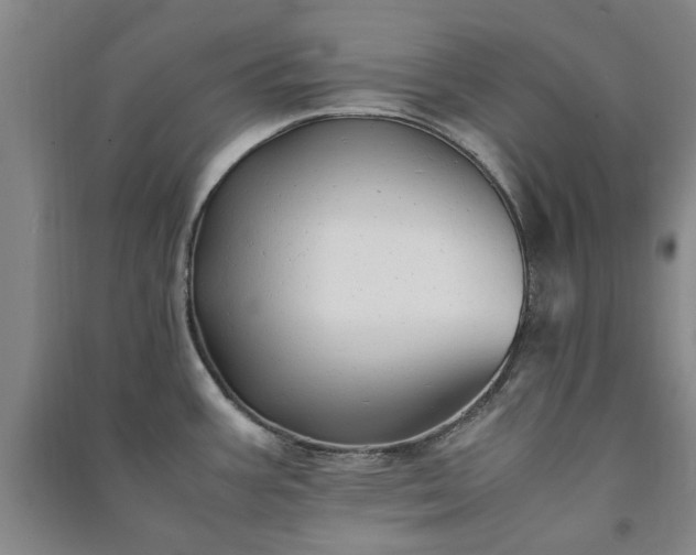 X0000091241387200708161727