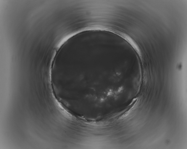 X0000091241388200708161727