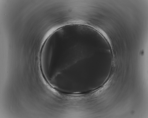 X0000091241389200708161727