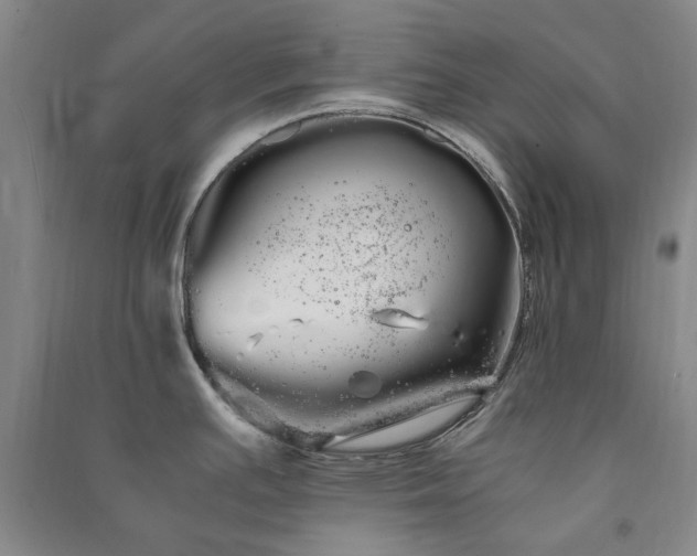 X0000091241391200708161727