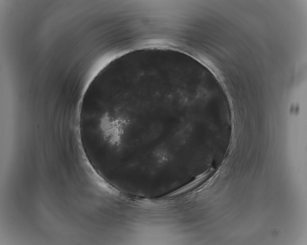 X0000091241392200708161727