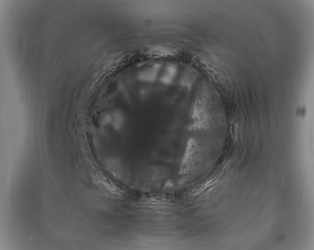 X0000091241393200708161727