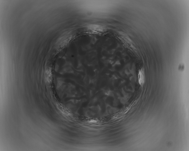 X0000091241395200708161727